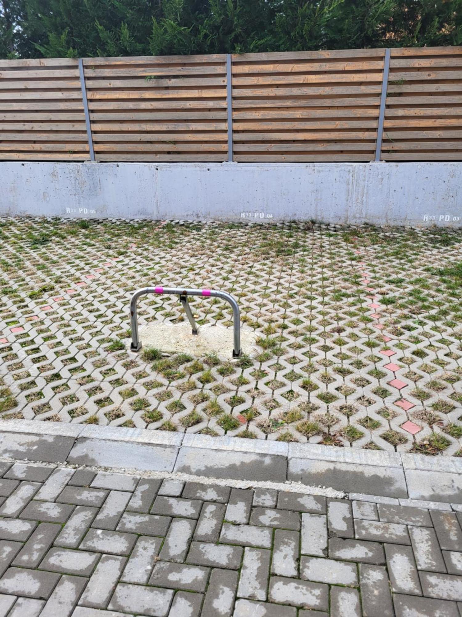 אראד Sika Sunny Garden Apartment מראה חיצוני תמונה